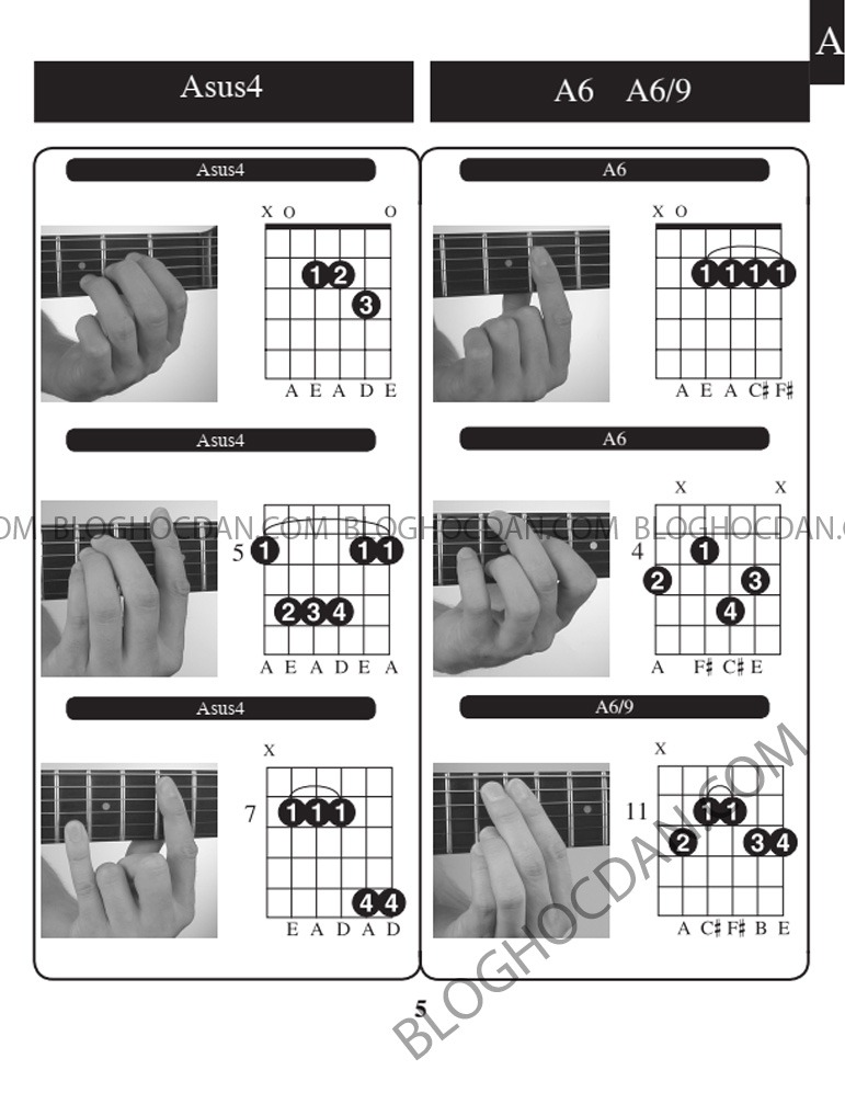 Tổng hợp Hợp âm và thế tay tone A