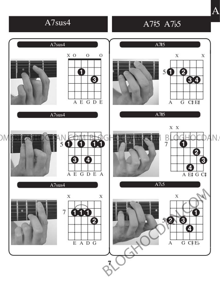 Tổng hợp Hợp âm và thế tay tone A