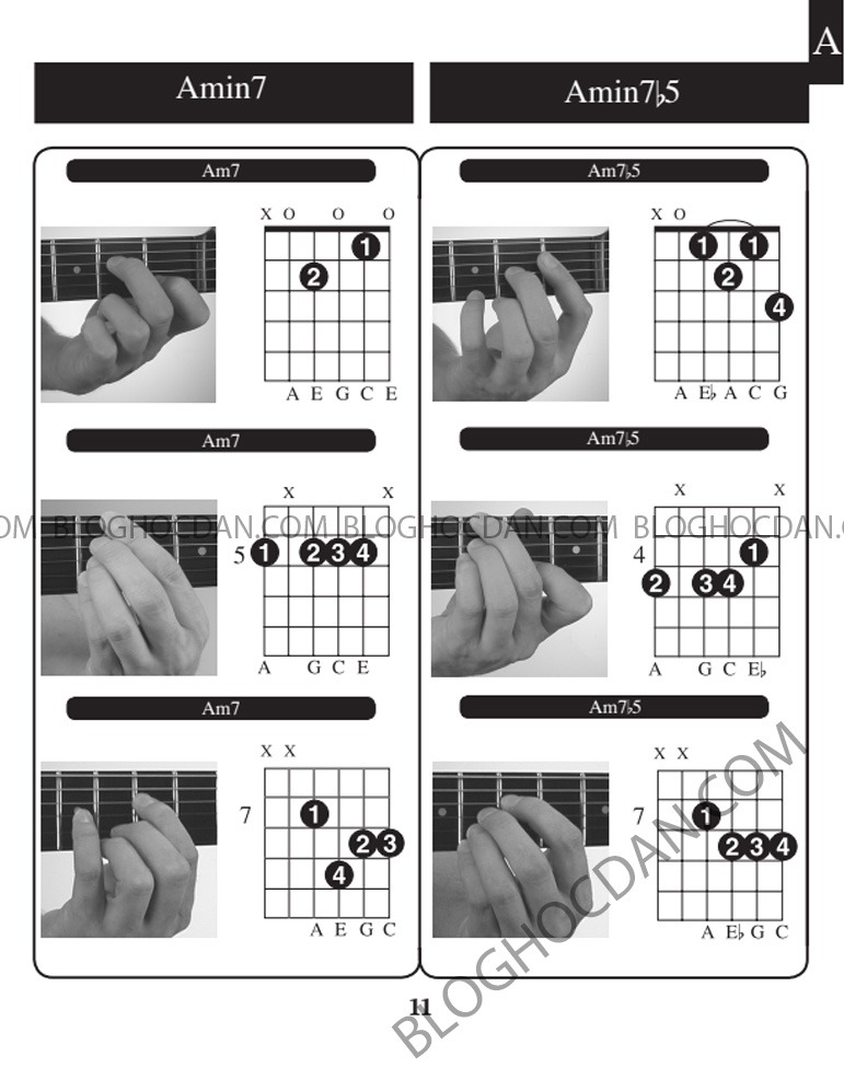 Tổng hợp Hợp âm và thế tay tone A